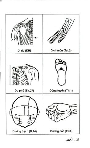  Khí Công Y Đạo -Sổ Tay Tìm Huyệt - Đỗ Đức Ngọc 