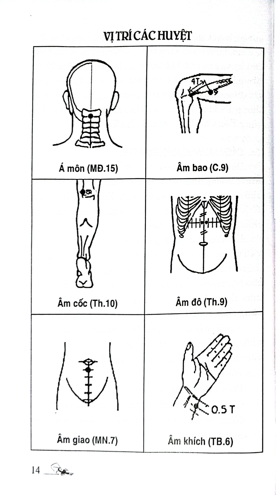 Khí Công Y Đạo - Sổ Tay Tìm Huyệt - Đỗ Đức Ngọc