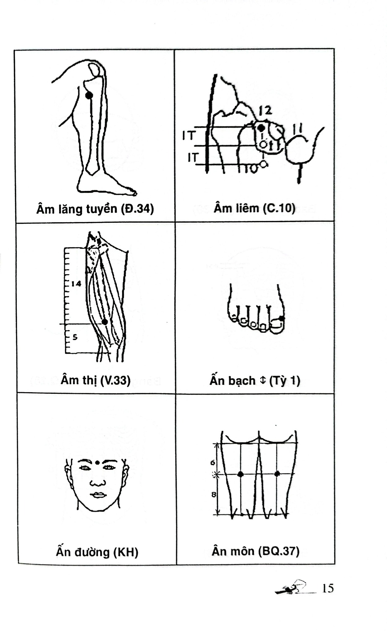 Khí Công Y Đạo - Sổ Tay Tìm Huyệt - Đỗ Đức Ngọc
