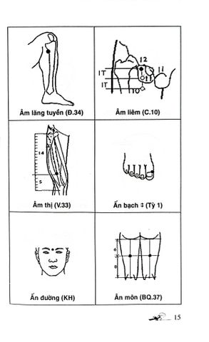  Khí Công Y Đạo -Sổ Tay Tìm Huyệt - Đỗ Đức Ngọc 