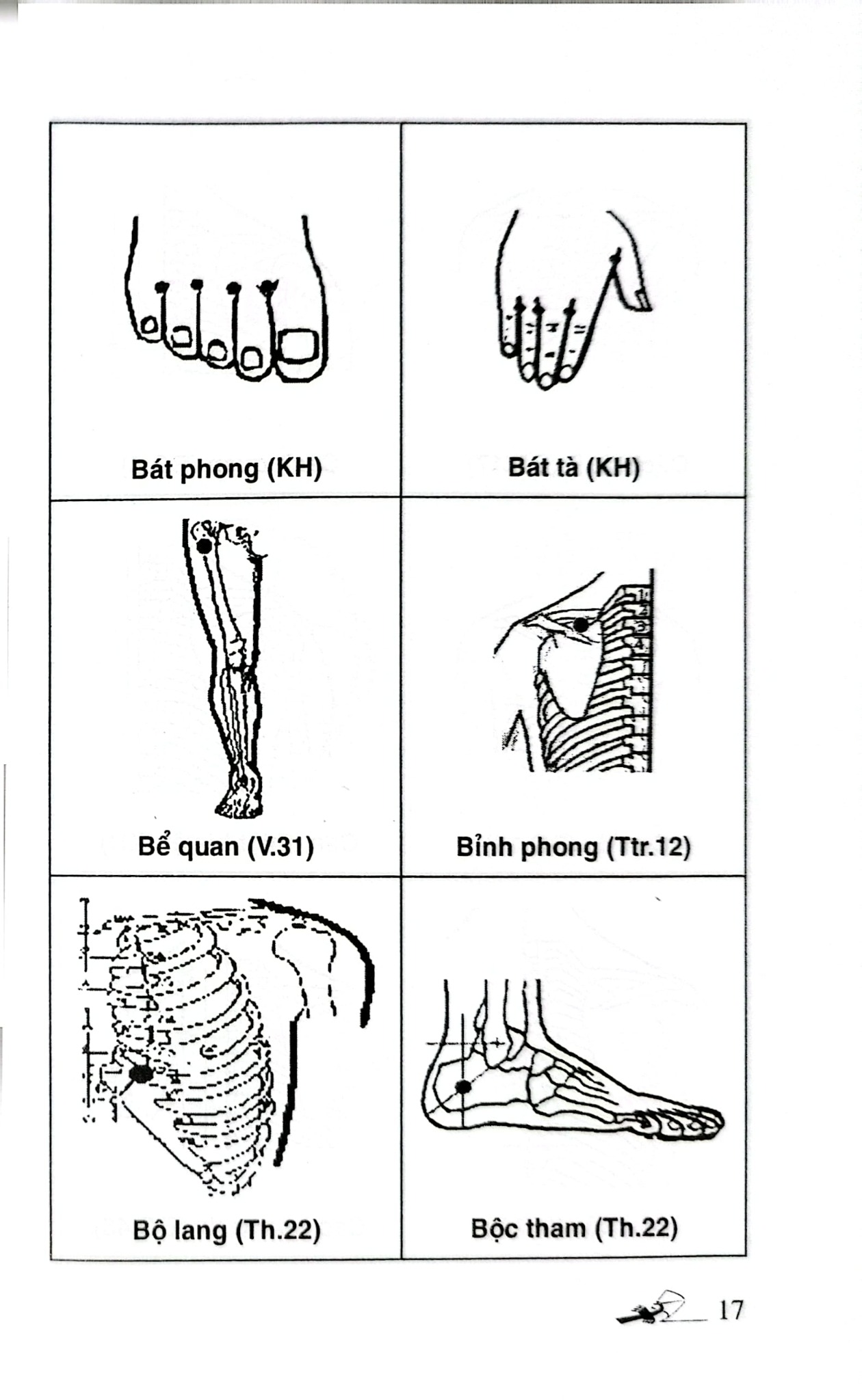 Khí Công Y Đạo - Sổ Tay Tìm Huyệt - Đỗ Đức Ngọc