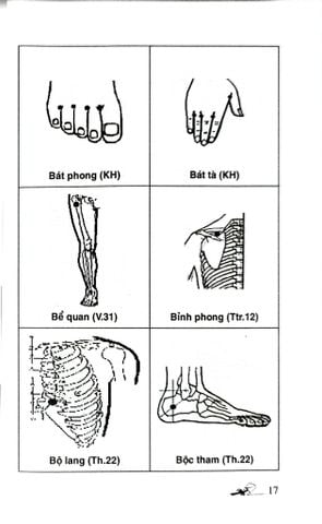  Khí Công Y Đạo -Sổ Tay Tìm Huyệt - Đỗ Đức Ngọc 