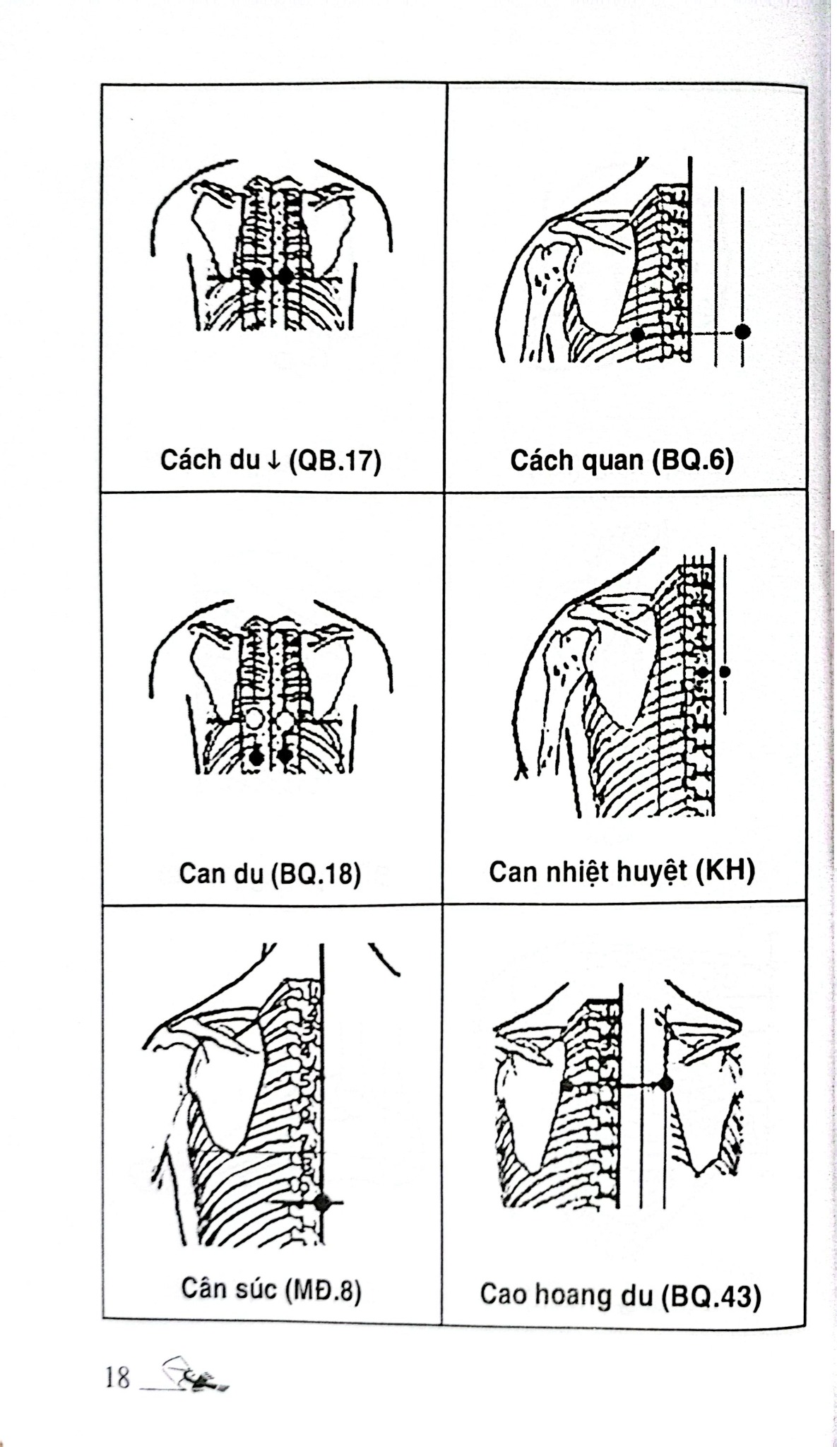 Khí Công Y Đạo - Sổ Tay Tìm Huyệt - Đỗ Đức Ngọc