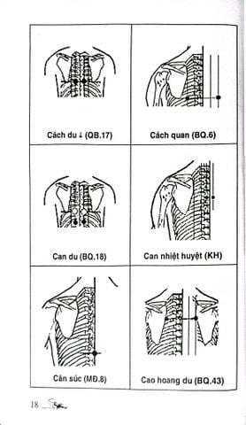  Khí Công Y Đạo -Sổ Tay Tìm Huyệt - Đỗ Đức Ngọc 