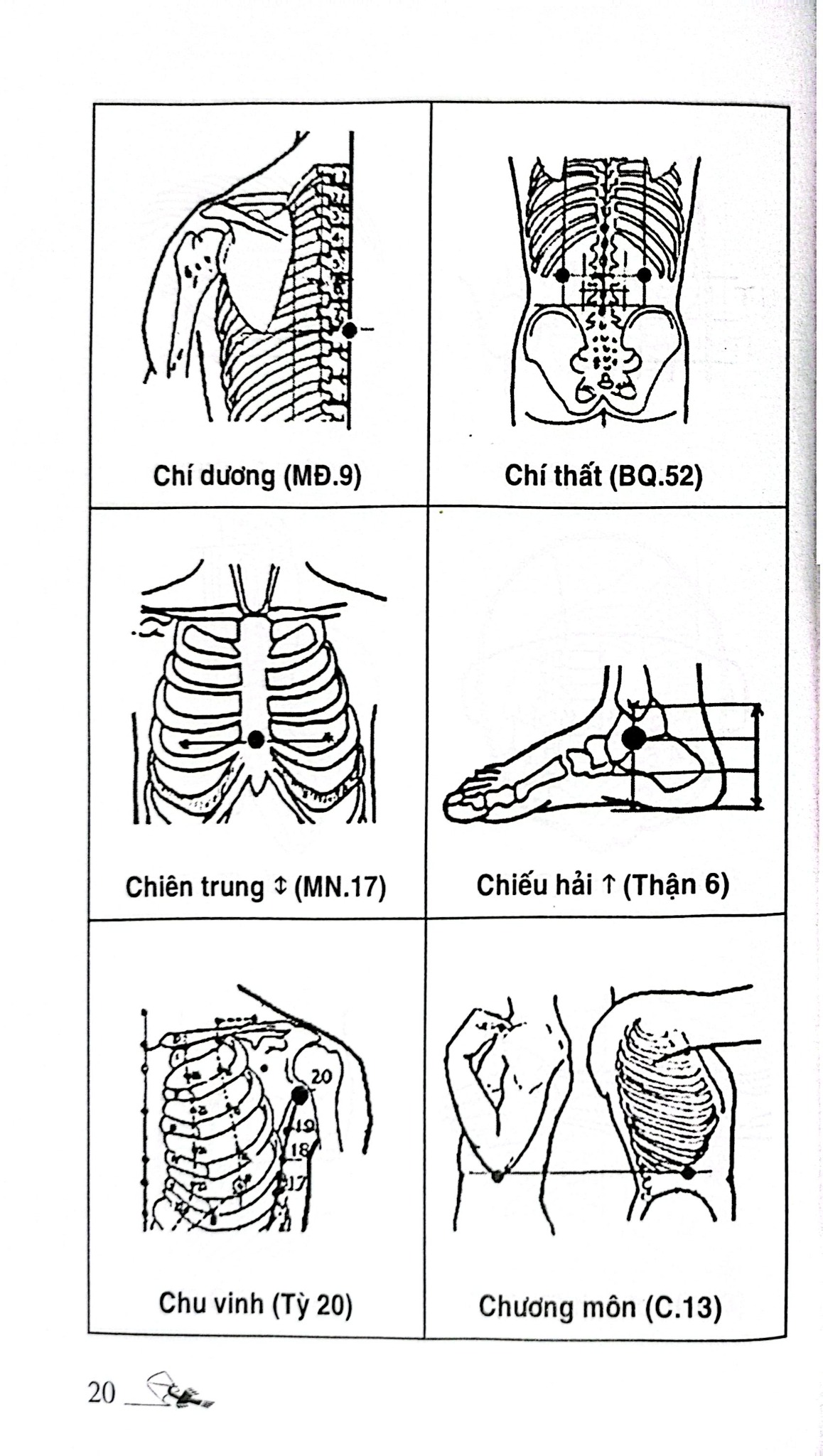 Khí Công Y Đạo - Sổ Tay Tìm Huyệt - Đỗ Đức Ngọc