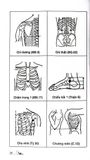  Khí Công Y Đạo -Sổ Tay Tìm Huyệt - Đỗ Đức Ngọc 