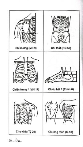  Khí Công Y Đạo -Sổ Tay Tìm Huyệt - Đỗ Đức Ngọc 