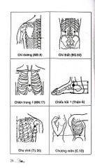 Khí Công Y Đạo - Sổ Tay Tìm Huyệt - Đỗ Đức Ngọc
