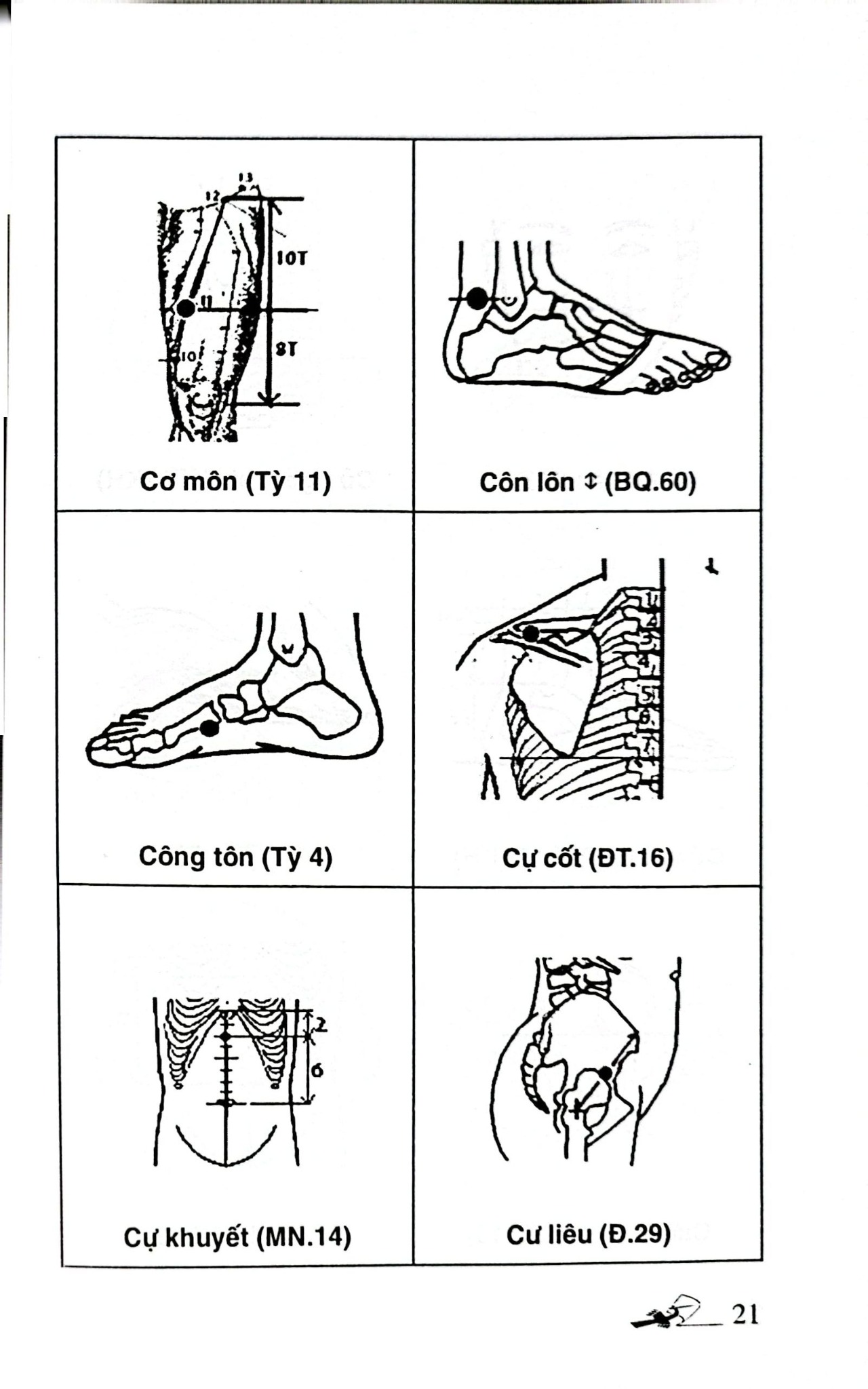 Khí Công Y Đạo - Sổ Tay Tìm Huyệt - Đỗ Đức Ngọc