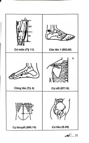  Khí Công Y Đạo -Sổ Tay Tìm Huyệt - Đỗ Đức Ngọc 