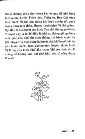  Khí Công Y Đạo - Tự Học Day Ấn Huyệt Chữa Bệnh Bệnh Hô Hấp - Đỗ Đức Ngọc 