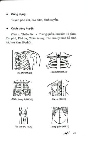  Khí Công Y Đạo - Tự Học Day Ấn Huyệt Chữa Bệnh Bệnh Hô Hấp - Đỗ Đức Ngọc 