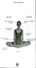 Hiểu Và Ứng Dụng Nhanh - Chữa Lành Bằng Luân Xa - Jennie Harding