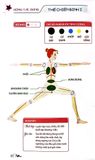  52 Thế Yoga Hiệu Quả Và Dễ Tập - Khoa Văn 