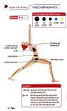  52 Thế Yoga Hiệu Quả Và Dễ Tập - Khoa Văn 