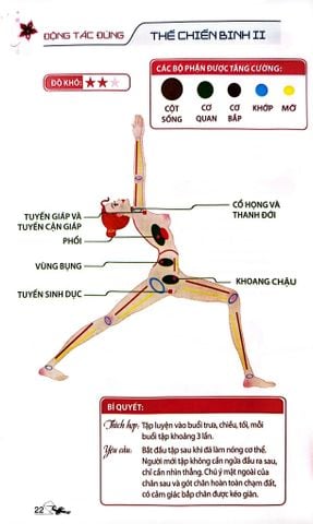  52 Thế Yoga Hiệu Quả Và Dễ Tập - Khoa Văn 