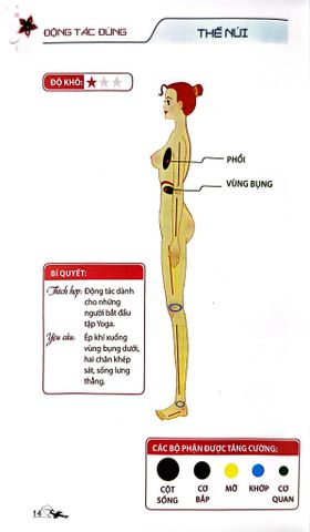  52 Thế Yoga Hiệu Quả Và Dễ Tập - Khoa Văn 
