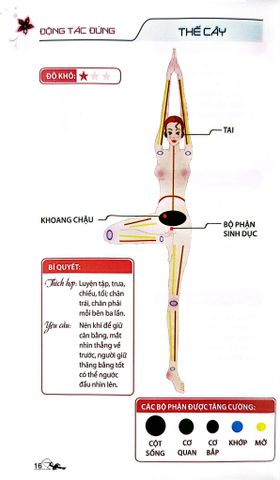  52 Thế Yoga Hiệu Quả Và Dễ Tập - Khoa Văn 