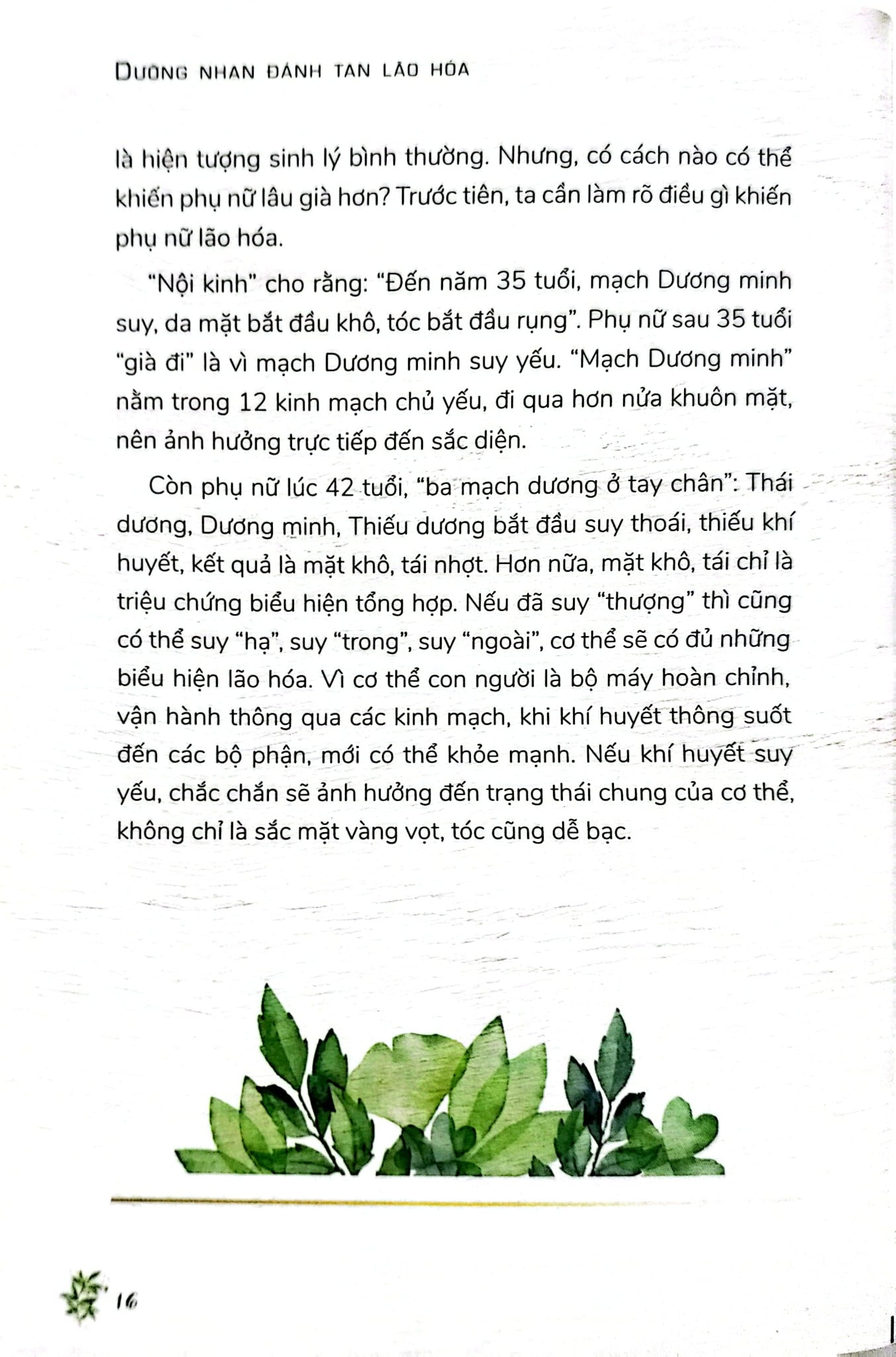 Dưỡng Nhan Đánh Tan Lão Hóa - Thẩm Ninh
