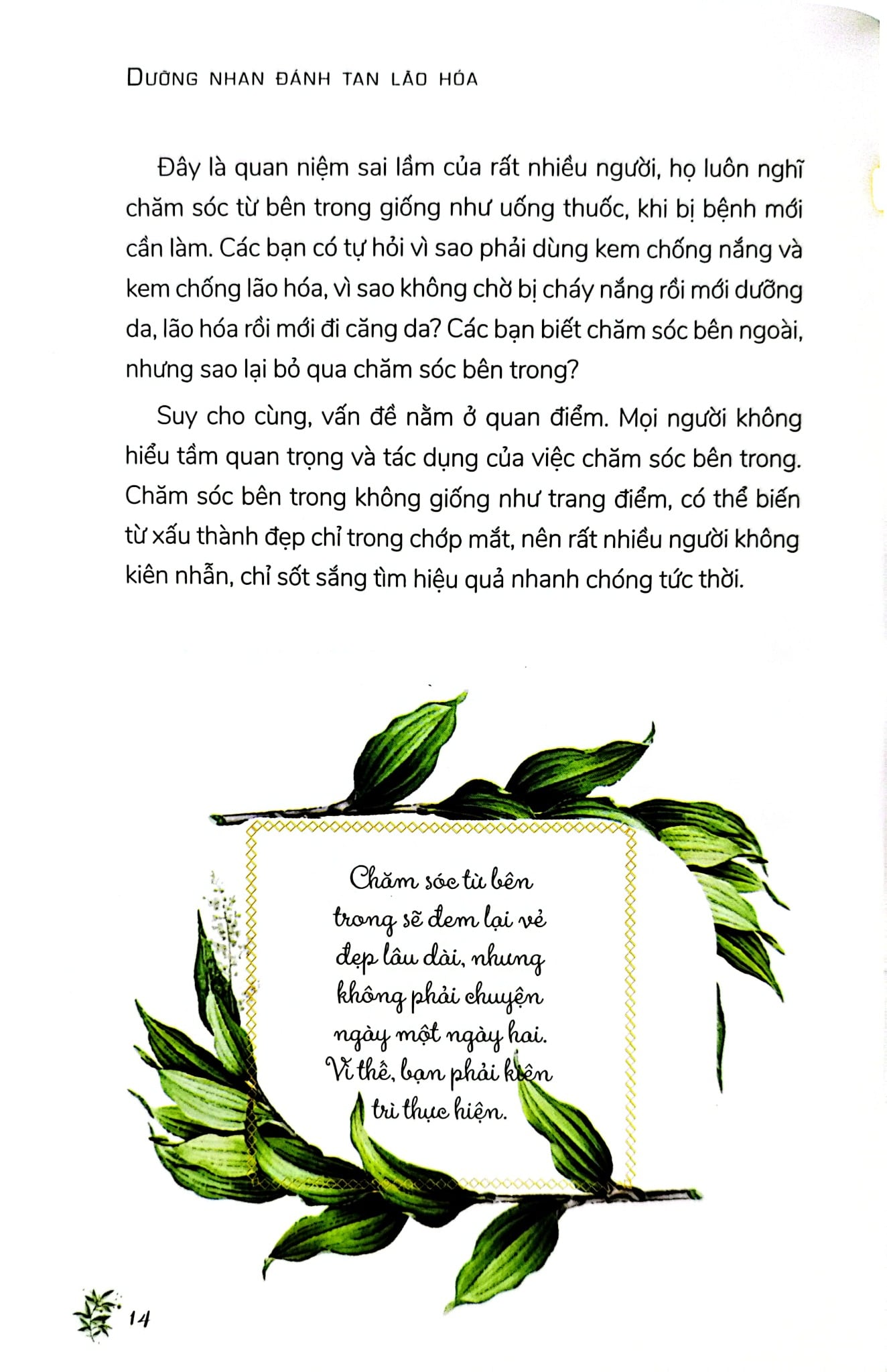 Dưỡng Nhan Đánh Tan Lão Hóa - Thẩm Ninh