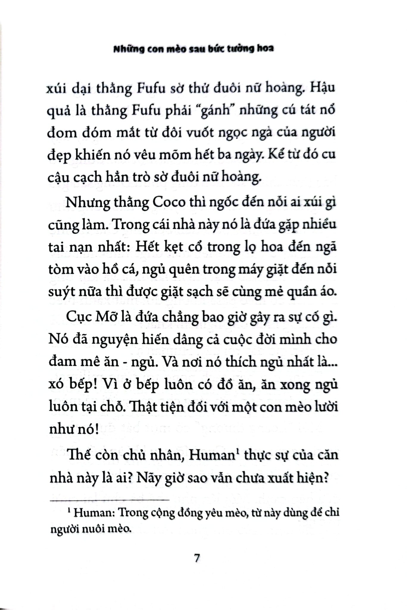 Những Con Mèo Sau Bức Tường Hoa - Hà Mi, Trần Lê Nguyên Hà