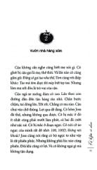 Kẻ Trộm Cà Chua - Barbara Constantine