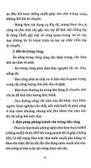 Phòng Tránh Tai Nạn Bất Ngờ - Phòng Chống Tai Nạn Khi Dã Ngoại - Mai Hương