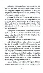 Phòng Tránh Tai Nạn Bất Ngờ - Phòng Chống Tai Nạn Khi Dã Ngoại - Mai Hương