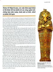 Ai Cập Cổ Đại - Ancient Egypt - Nhiều Tác Giả