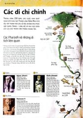 Ai Cập Cổ Đại - Ancient Egypt - Nhiều Tác Giả