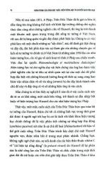 Hành Trình Của Trần Đức Thảo - Hiện Tượng Học Và Chuyển Giao Văn Hóa (Bìa Mềm) - Jocelyn Benoist