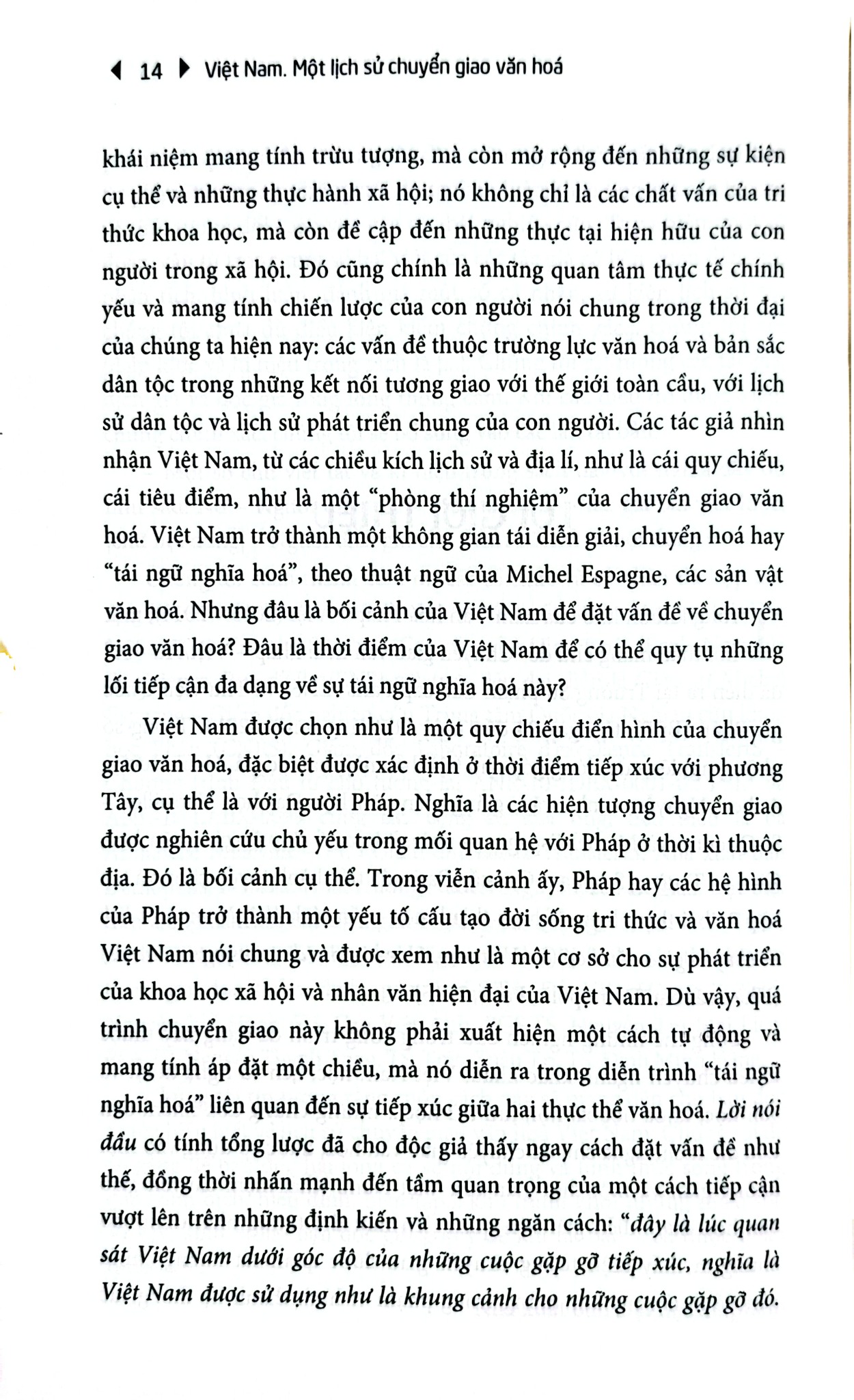 Việt Nam - Một Lịch Sử Chuyển Giao Văn Hoá (Bìa Mềm) - Hoai Huong Aubert-Nguyen và Michel Espagne (CB)