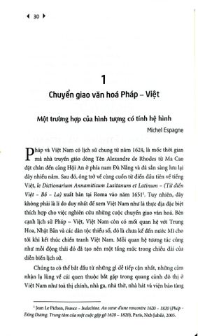  Việt Nam - Một Lịch Sử Chuyển Giao Văn Hoá (Bìa Mềm) - Hoai Huong Aubert-Nguyen và Michel Espagne (CB) 
