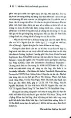 Việt Nam - Một Lịch Sử Chuyển Giao Văn Hoá (Bìa Mềm) - Hoai Huong Aubert-Nguyen và Michel Espagne (CB)