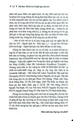 Việt Nam - Một Lịch Sử Chuyển Giao Văn Hoá (Bìa Cứng) - Hoai Huong Aubert-Nguyen và Michel Espagne (CB)