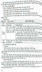 Kĩ Năng Đọc - Hiểu Và Viết Văn Bản Ngữ Văn 8 (Ngữ Liệu Ngoài Sách Giáo Khoa) - Nhiều Tác Giả