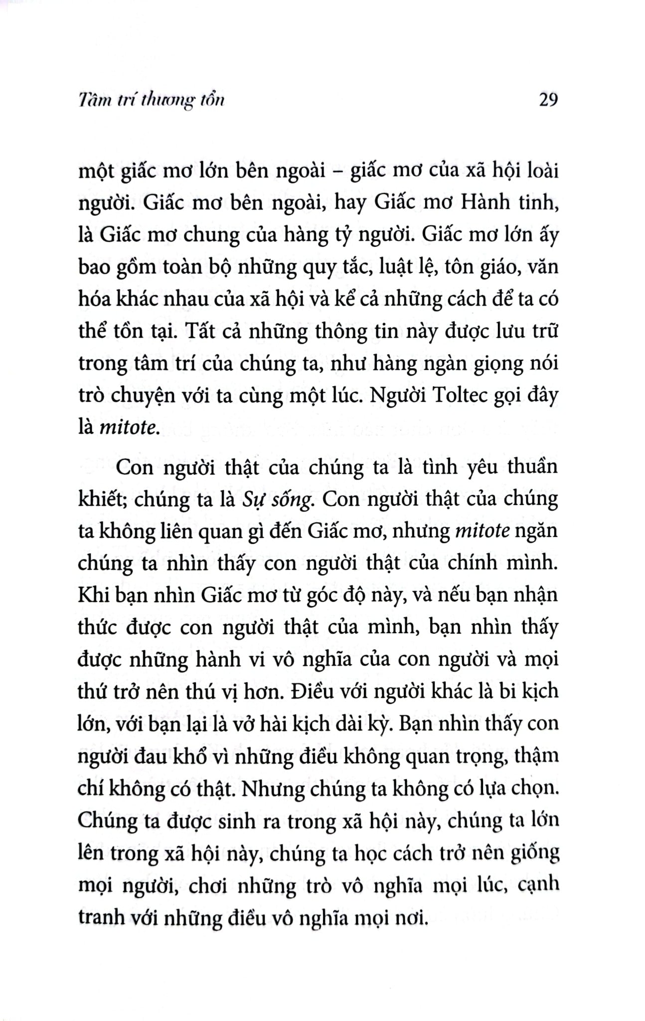 Combo 2 Quyển The Mastery Of Self - Hành Trình Thấu Hiểu Bản Thân Và Tìm Thấy Tự Do + The Mastery Of Love - Những Chỉ Dẫn Để Làm Chủ Trái Tim - Nhiều Tác Giả