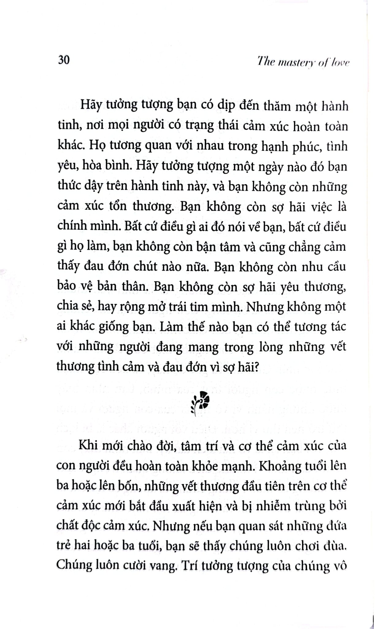 Combo 2 Quyển The Mastery Of Self - Hành Trình Thấu Hiểu Bản Thân Và Tìm Thấy Tự Do + The Mastery Of Love - Những Chỉ Dẫn Để Làm Chủ Trái Tim - Nhiều Tác Giả