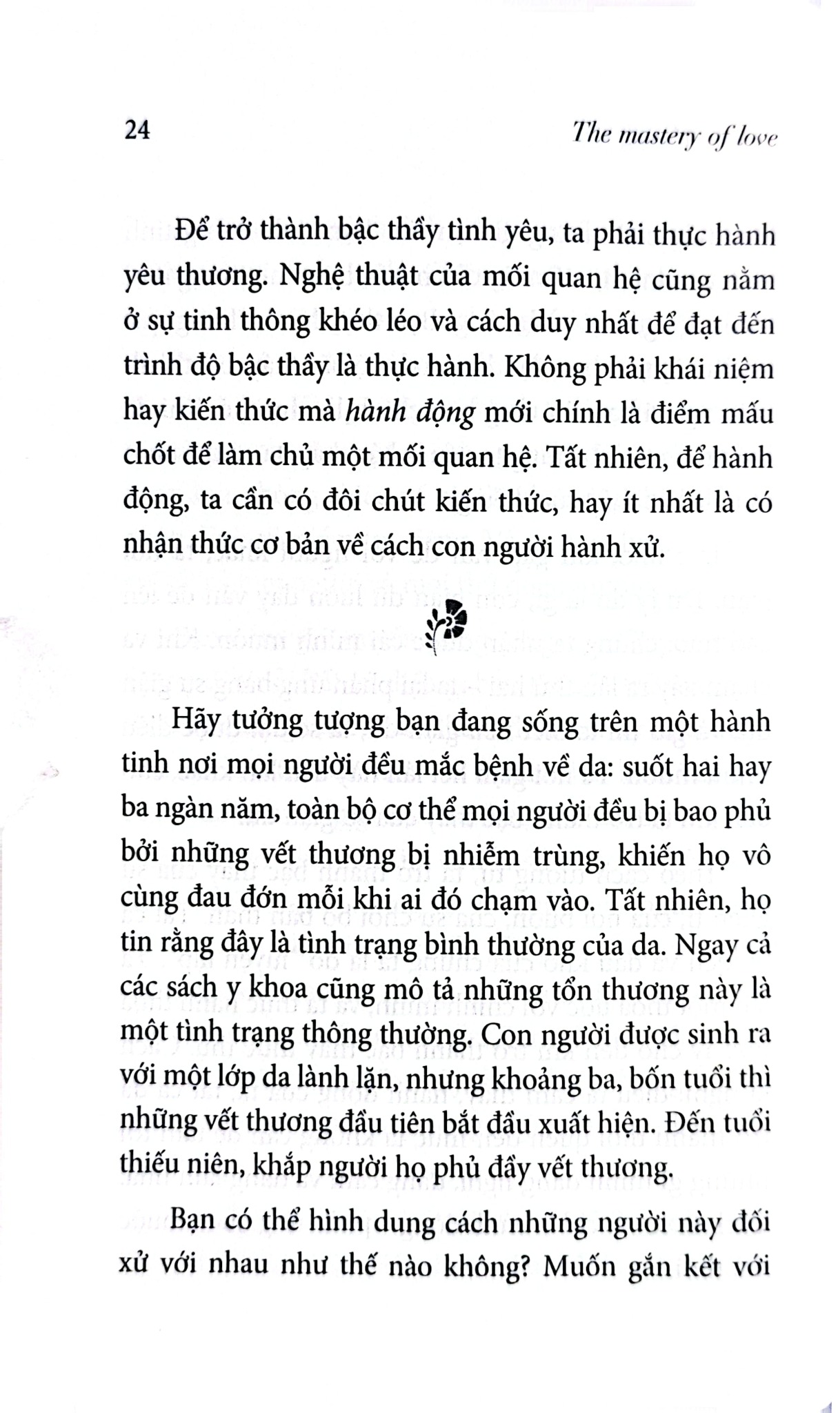 Bộ Sách 6 Cuốn Trí Tuệ Của Người Toltec ( Vòng Tròn Lửa + Bốn Thỏa Ước + Thực Hành Bốn Thỏa Ước +Thỏa Ước Thứ Năm + Hành Trình Thấu Hiểu Bản Thân Và Tìm Thấy Tự Do + Những Chỉ Dẫn Để Làm Chủ Trái Tim )