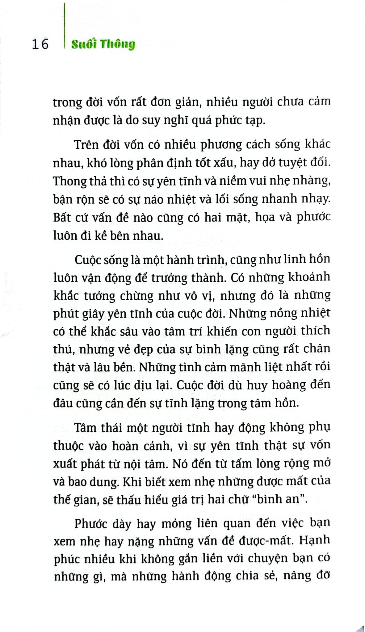 Bộ Sách Suối Thông (Bộ 3 Cuốn) - Suối Thông