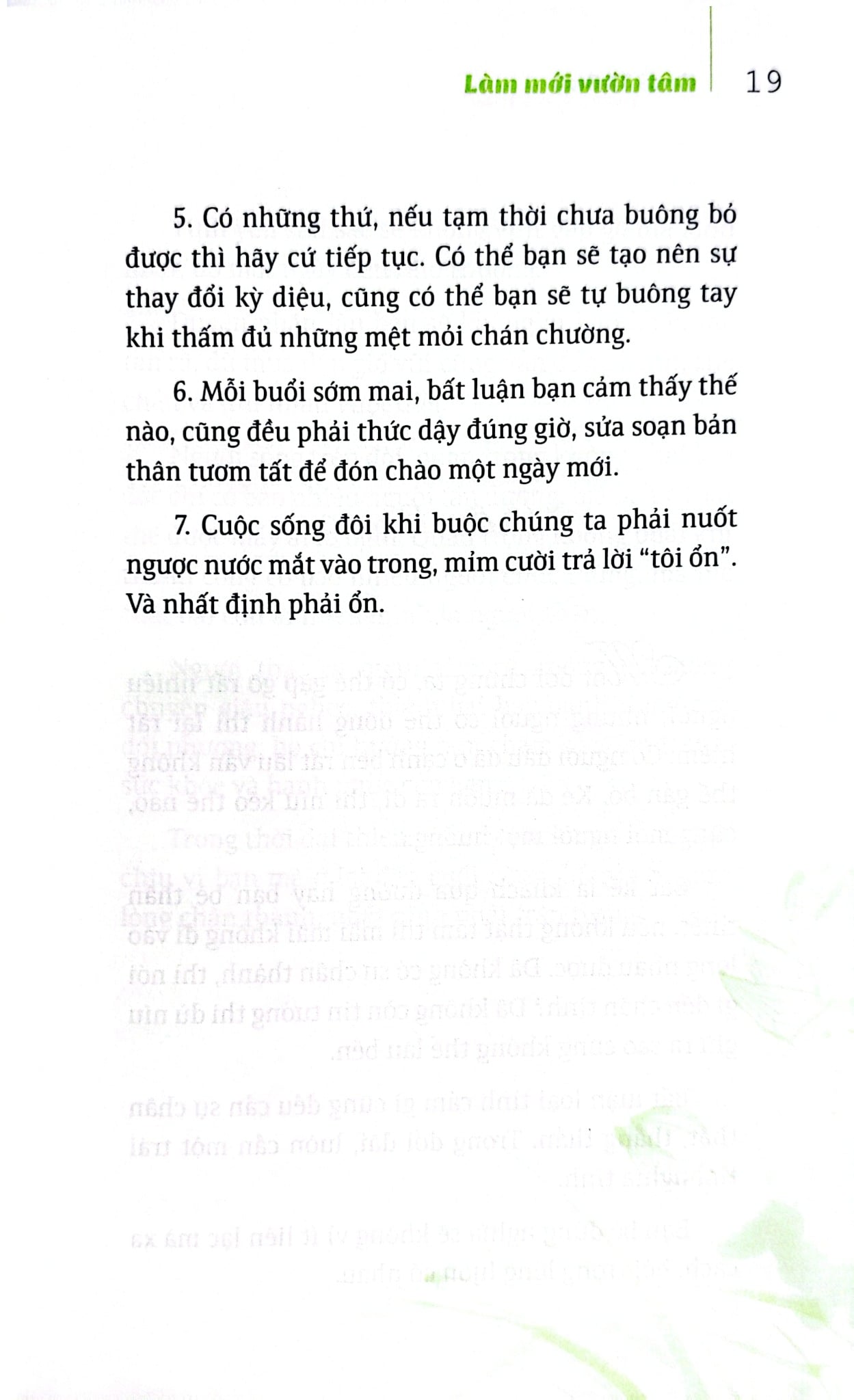Bộ Sách Suối Thông (Bộ 3 Cuốn) - Suối Thông