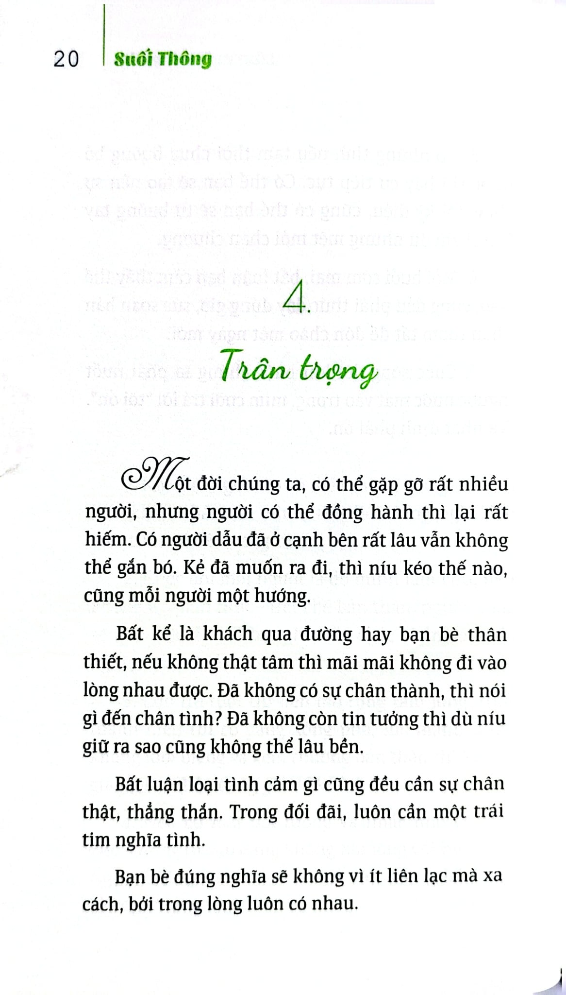 Bộ Sách Suối Thông (Bộ 3 Cuốn) - Suối Thông