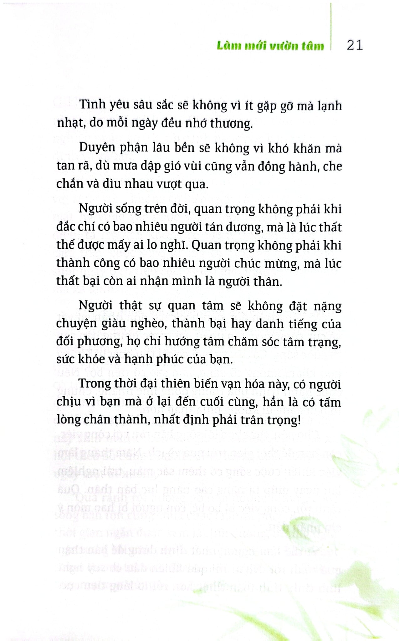 Bộ Sách Suối Thông (Bộ 3 Cuốn) - Suối Thông