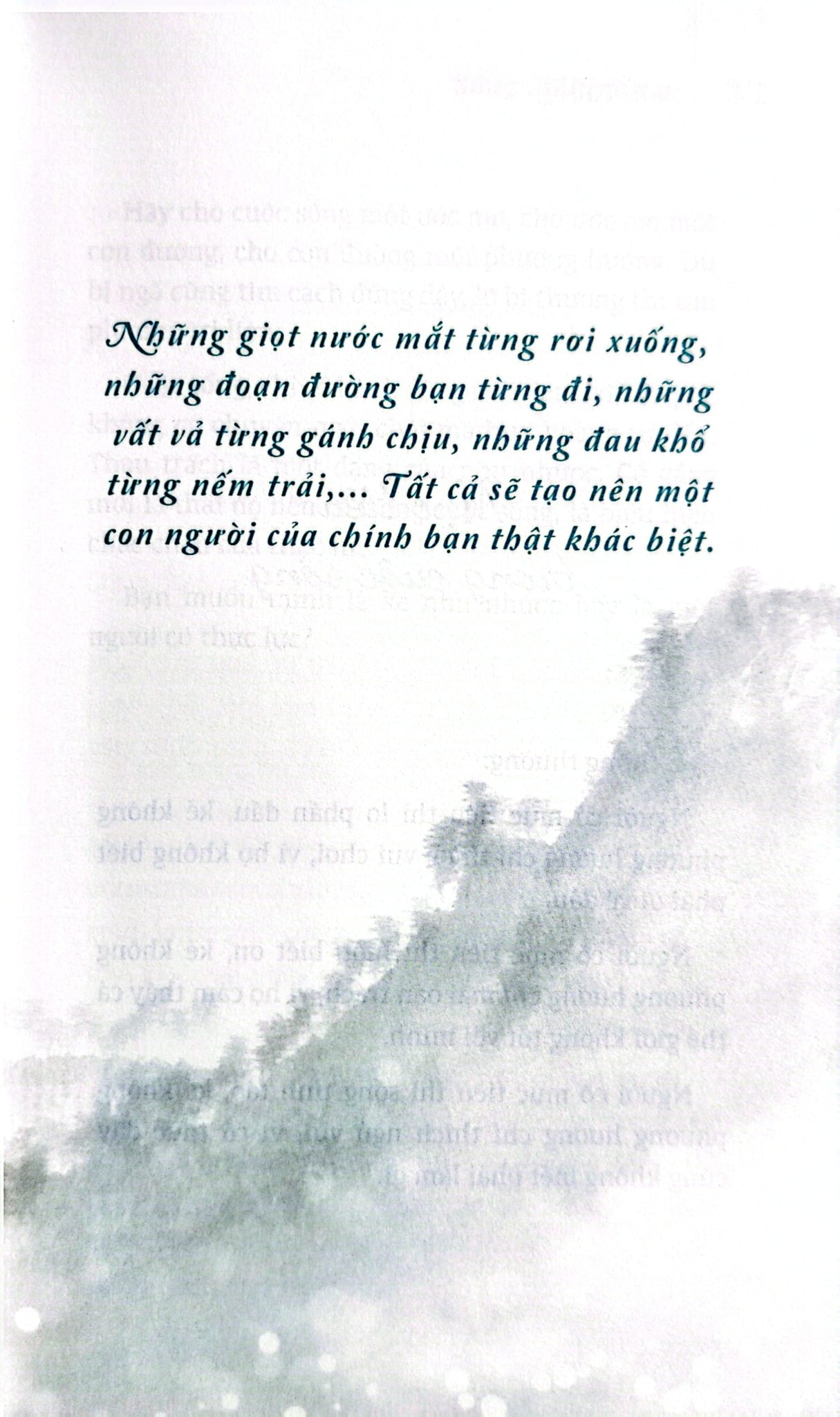 Bộ Sách Suối Thông (Bộ 3 Cuốn) - Suối Thông