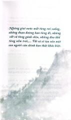 Bộ Sách Suối Thông (Bộ 3 Cuốn) - Suối Thông