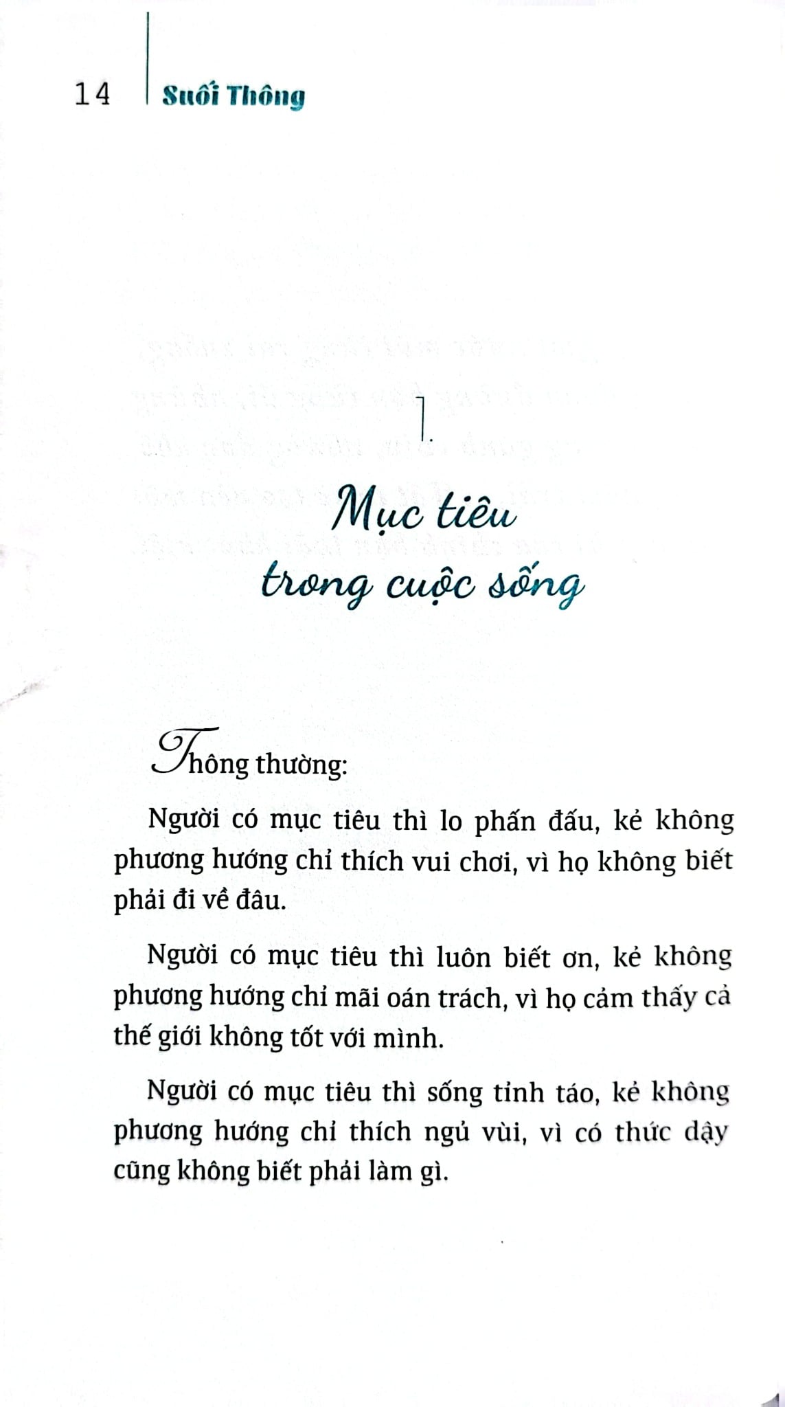 Bộ Sách Suối Thông (Bộ 3 Cuốn) - Suối Thông