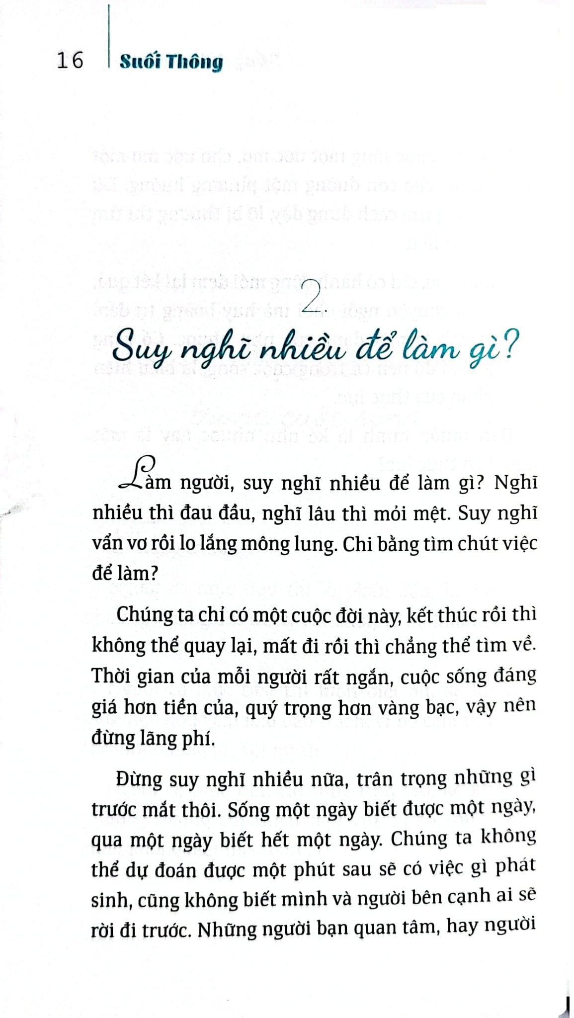 Bộ Sách Suối Thông (Bộ 3 Cuốn) - Suối Thông