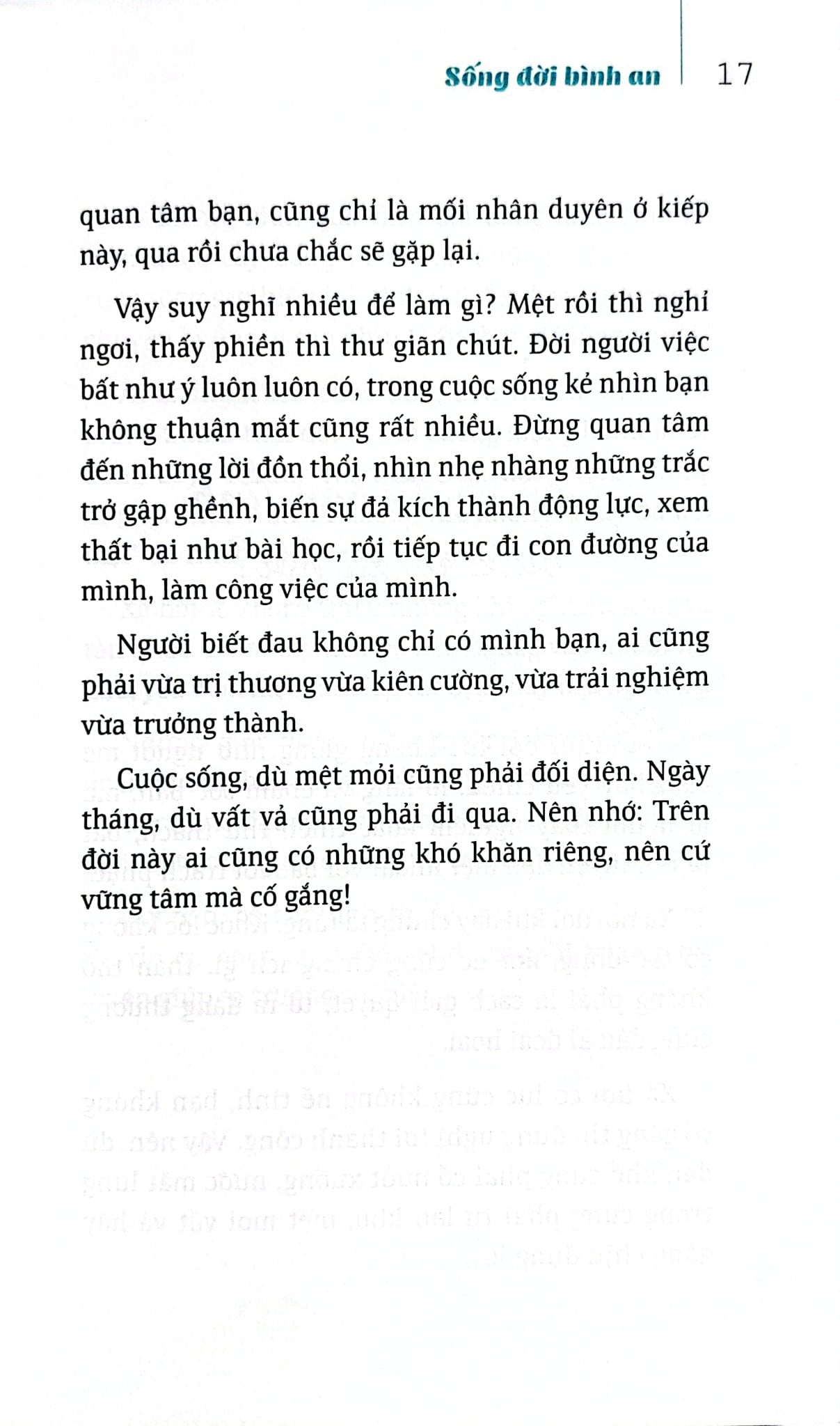 Bộ Sách Suối Thông (Bộ 3 Cuốn) - Suối Thông