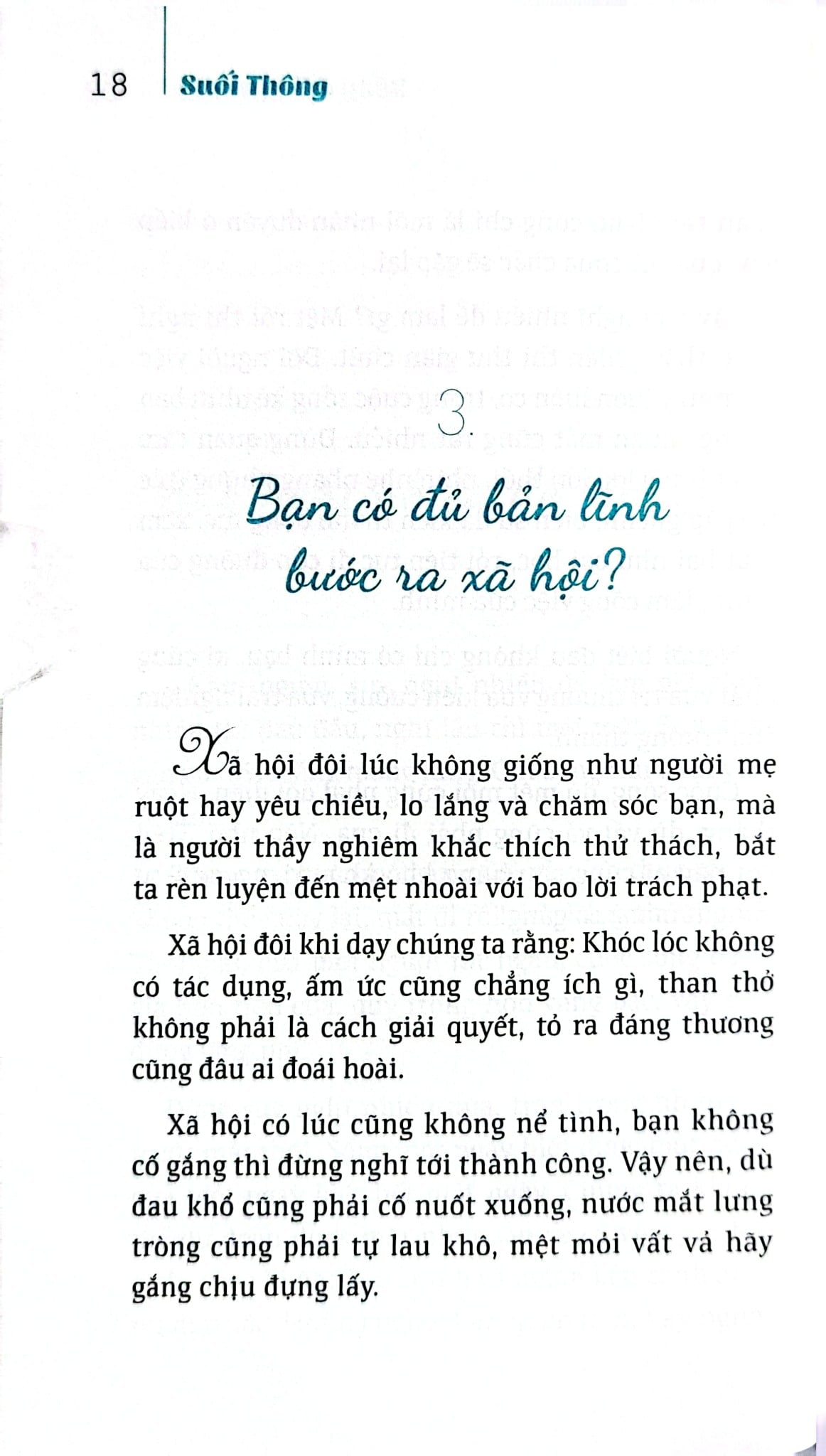Bộ Sách Suối Thông (Bộ 3 Cuốn) - Suối Thông