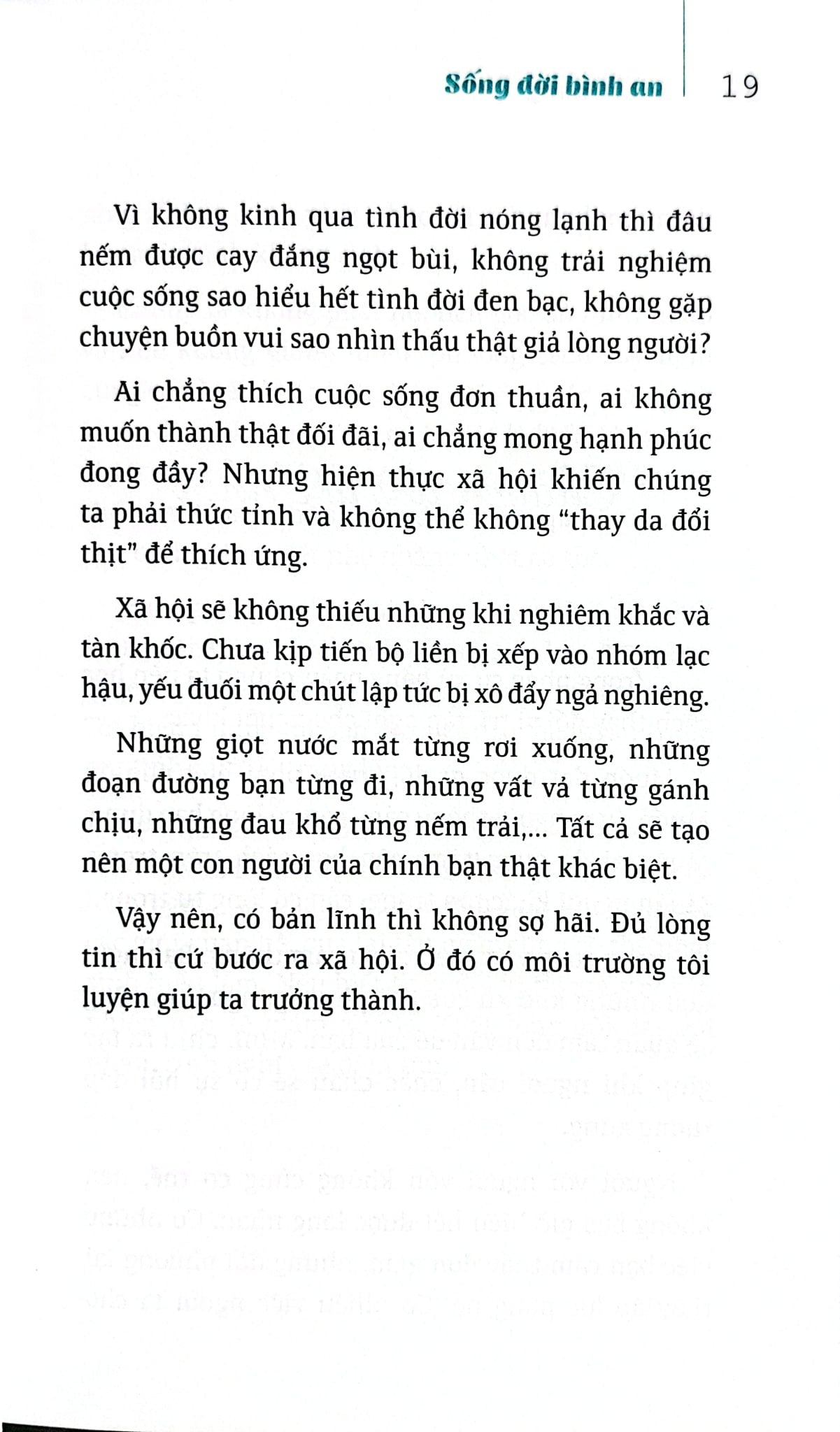Bộ Sách Suối Thông (Bộ 3 Cuốn) - Suối Thông